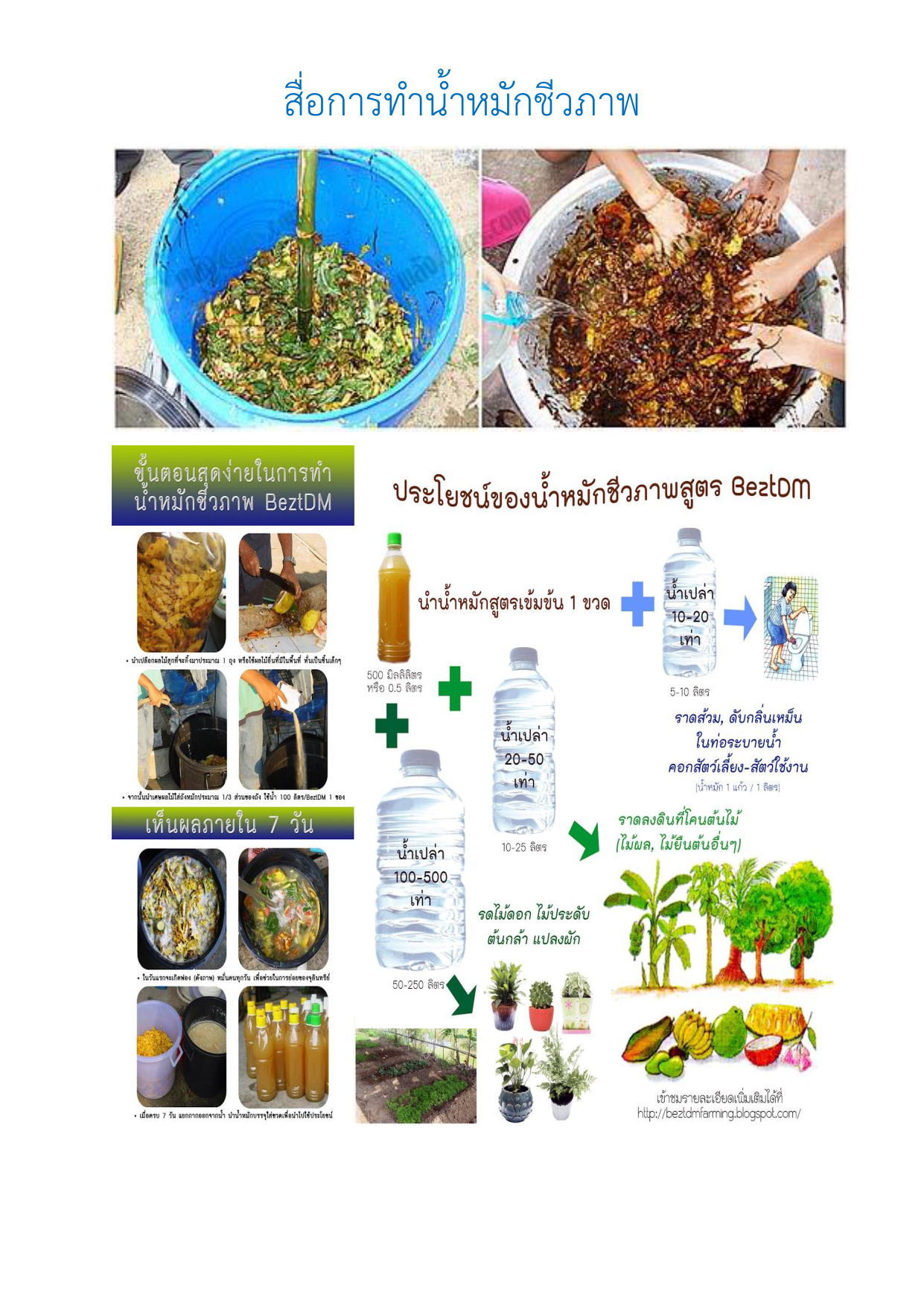 สื่อการทำน้ำหมักชีวภาพ